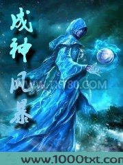 成神风暴图片