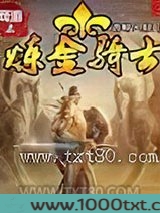 网游之炼金骑士图片