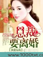 真爱太浅，总裁要离婚