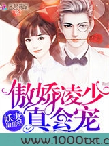 妖妻甜甜哒，傲娇凌少真会宠图片
