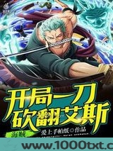 海贼开局一刀砍翻艾斯图片