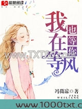 我在等风也等你图片
