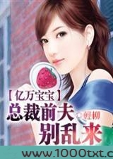 总裁前夫,别乱来图片