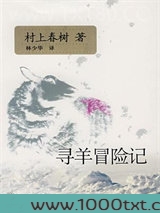 寻羊冒险记