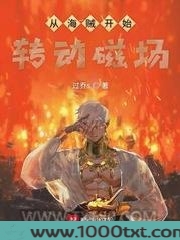 从海贼开始转动磁场图片