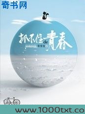 天降金龟：抓不住的青春图片