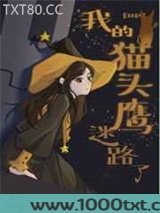 [HP]我的猫头鹰迷路了