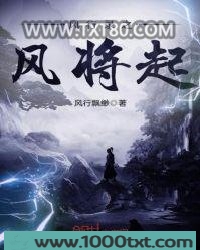 风行录之风将起图片