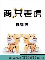 两只老虎