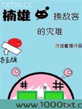楠雄·揍敌客的灾难图片