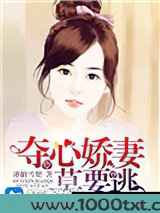 夺心娇妻莫要逃
