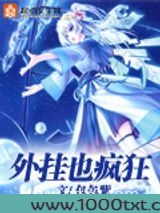 外挂也疯狂