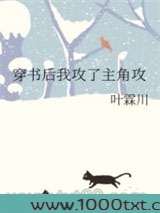 穿书后我攻了主角攻
