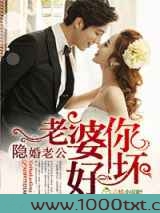 隐婚老公,老婆你好坏图片