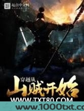穿越从山贼开始图片