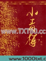 黑皮将军的小青梅图片