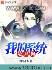 我的系统是只狗