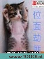 位面劫匪图片