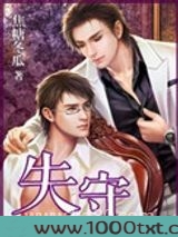一夜失守图片