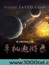 单机遨游录图片