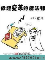 掀起变革的魔法师图片