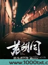 老胡同