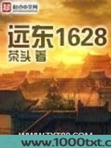 远东1628图片