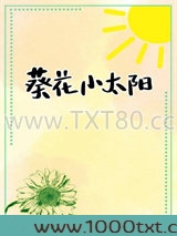 葵花小太阳