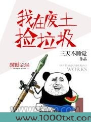 我在废土捡垃圾图片
