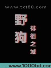 野狗徘徊之城图片