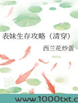 表妹生存攻略（清穿）图片