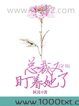 总裁又盯着她了[穿书]
