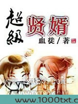 超级贤婿图片