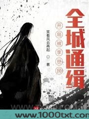 开局被李世民，全城通缉