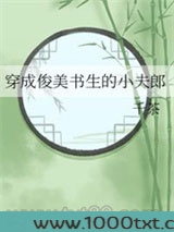 穿成俊美书生的小夫郎图片