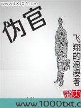 伪官图片
