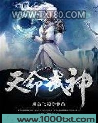 天命武神图片