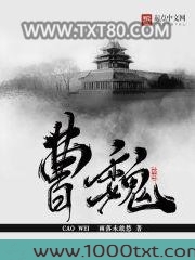 曹魏图片