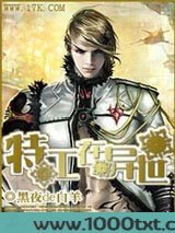 特工在异世
