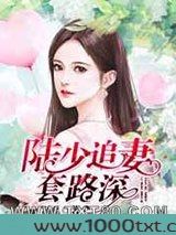 陆少追妻套路深图片