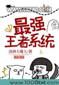 最强王者系统图片