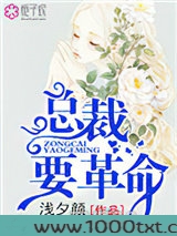 二婚娇妻，总裁要革命图片