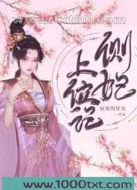 侧妃上位记图片