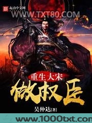 重生大宋做权臣图片