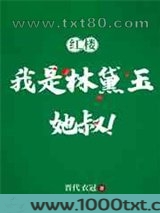 [红楼]我是林黛玉她叔图片