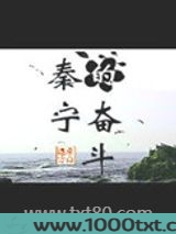 秦宁的奋斗