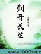 剑开长生图片