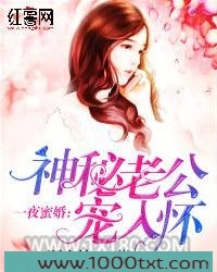 一夜蜜婚：神秘老公宠入怀图片