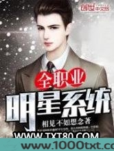全职业明星系统图片
