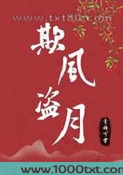 欺风盗月[快穿]图片